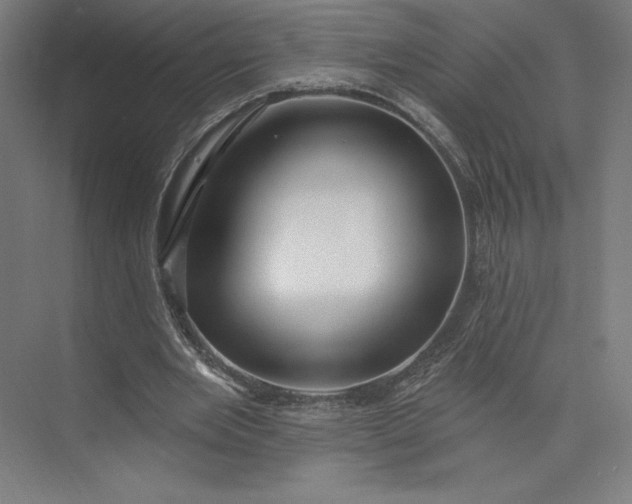 X0000073990485200609061001