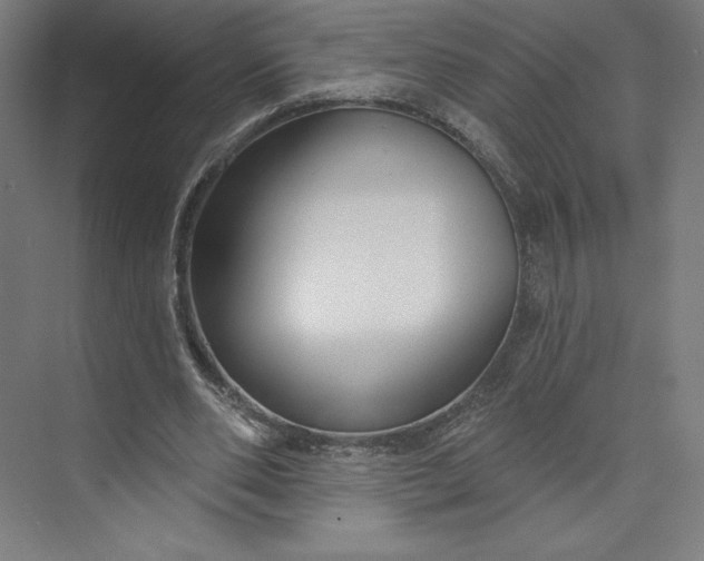 X0000073990486200609061001