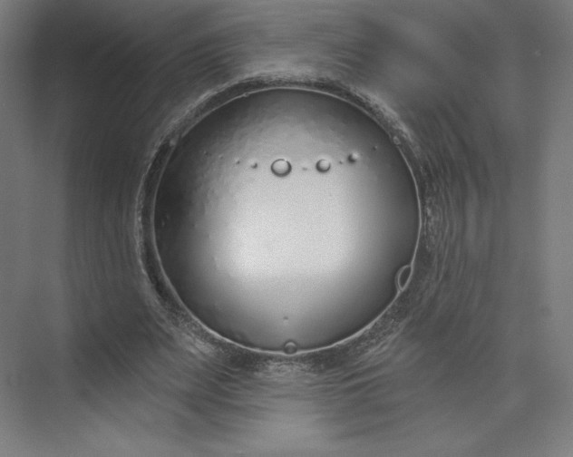 X0000073990487200609061001