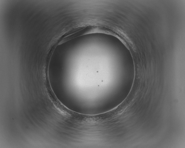 X0000073990489200609061001