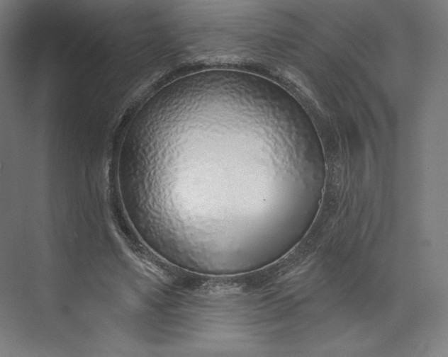 X0000073990491200609061001