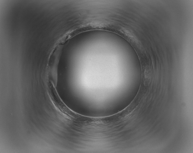 X0000073990492200609061001