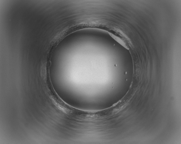 X0000073990493200609061001