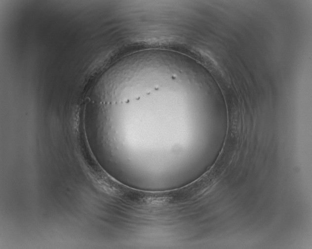 X0000073990495200609061001