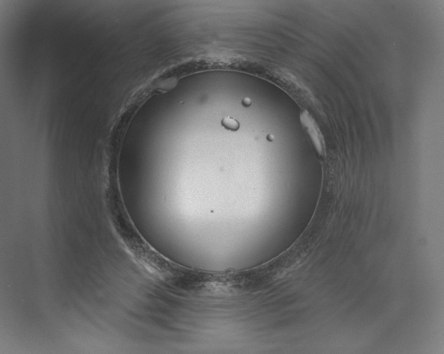 X0000073990496200609061001