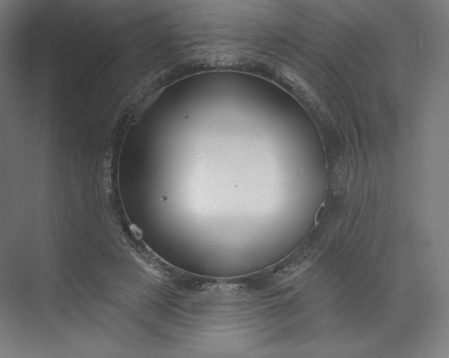 X0000073990497200609061001