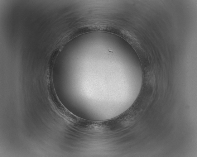 X0000073990498200609061001