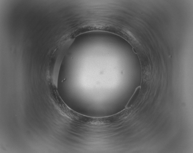 X0000073990500200609061001