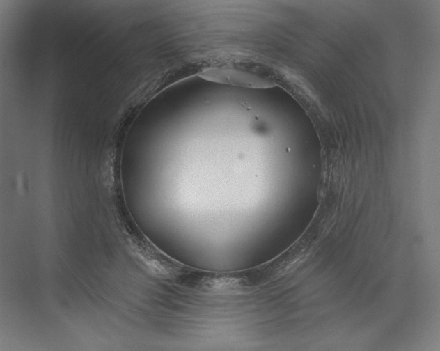 X0000073990501200609061001