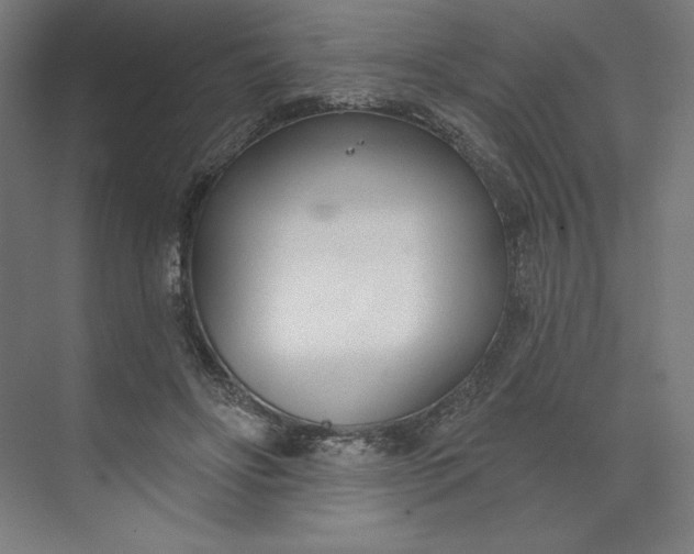 X0000073990502200609061001