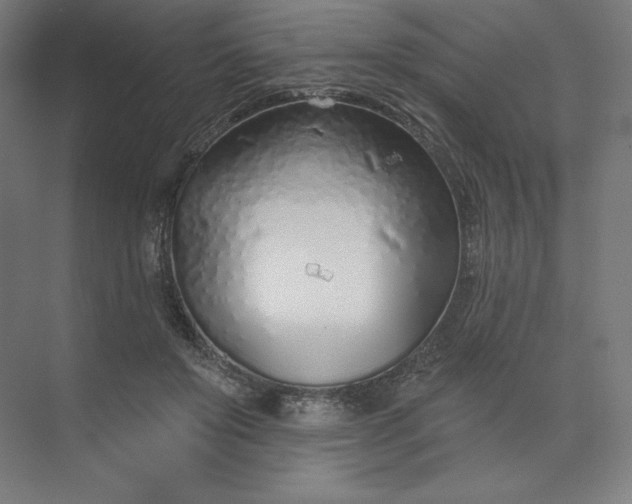 X0000073990503200609061001