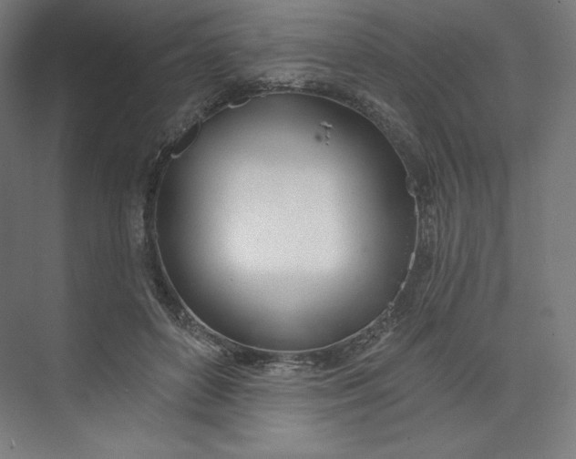 X0000073990504200609061001