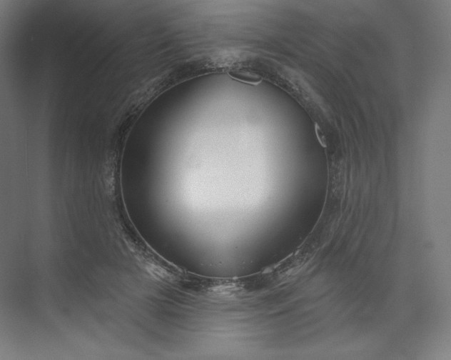 X0000073990505200609061001