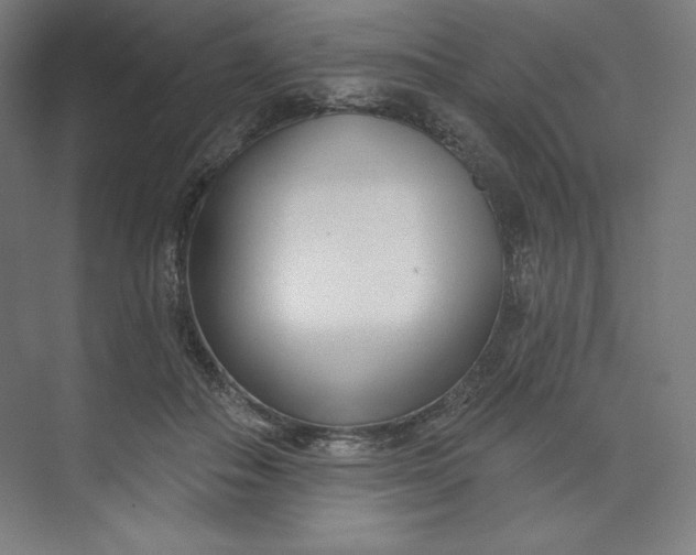 X0000073990506200609061001