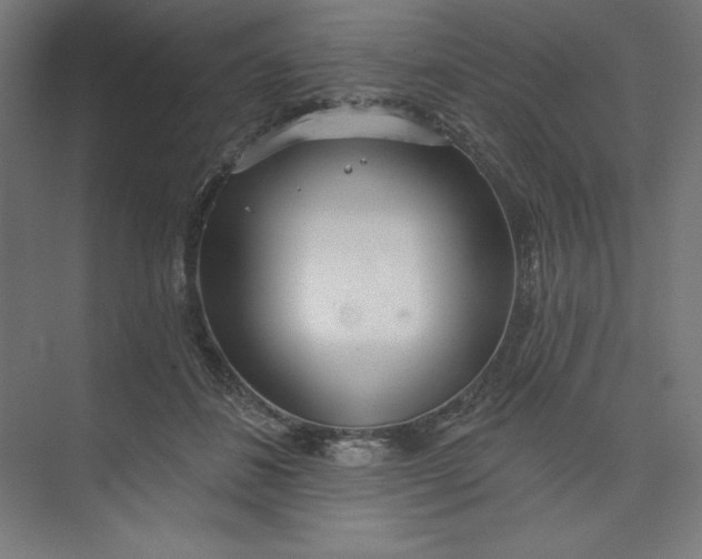 X0000073990508200609061001