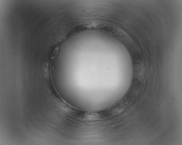 X0000073990510200609061001