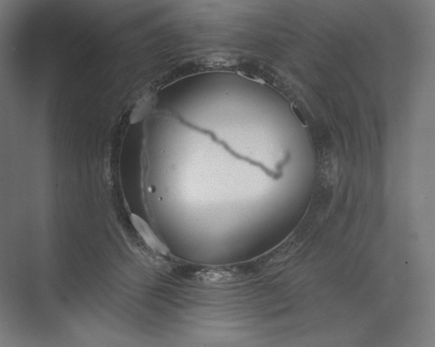 X0000073990512200609061001