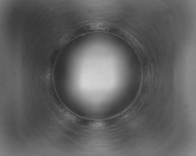 X0000073990513200609061001