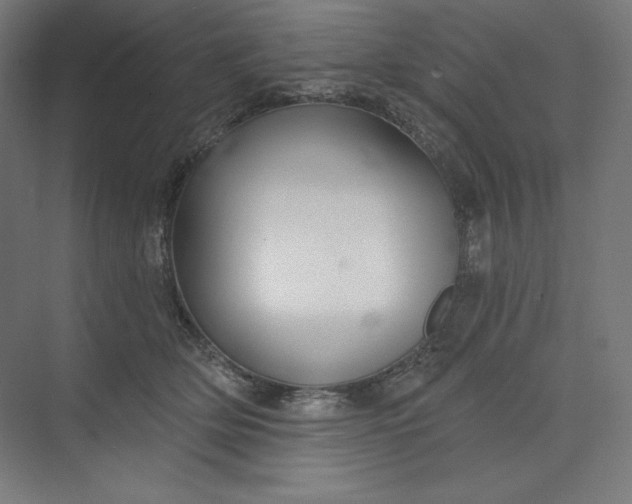 X0000073990514200609061001