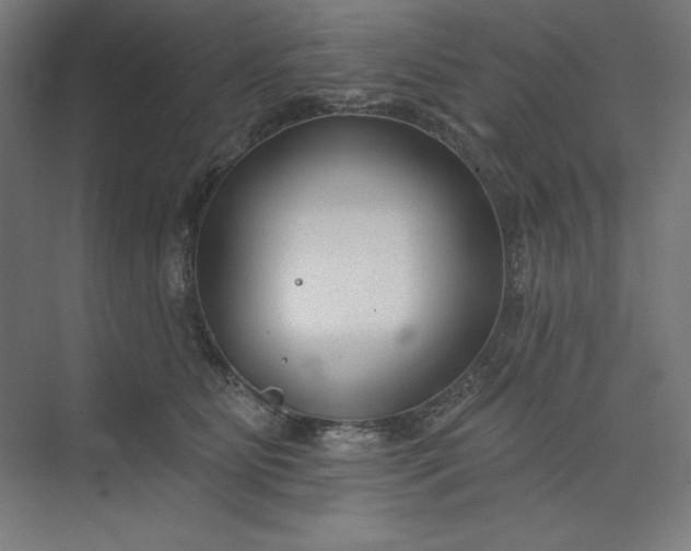 X0000073990515200609061001