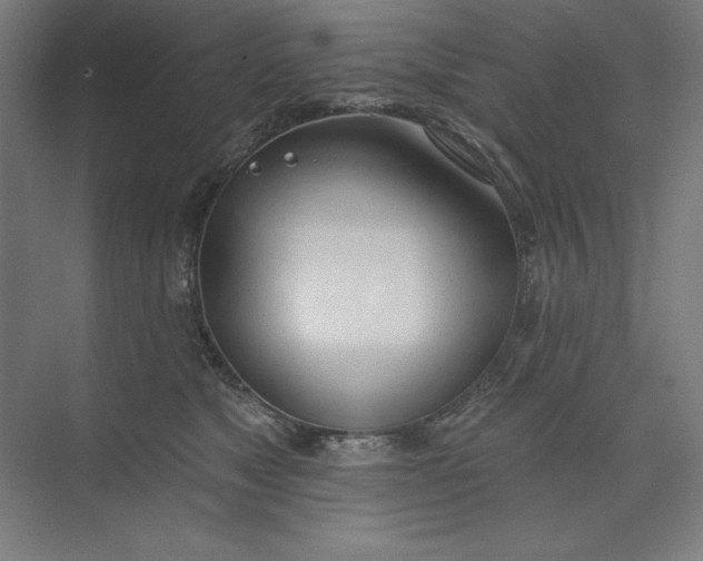 X0000073990517200609061001