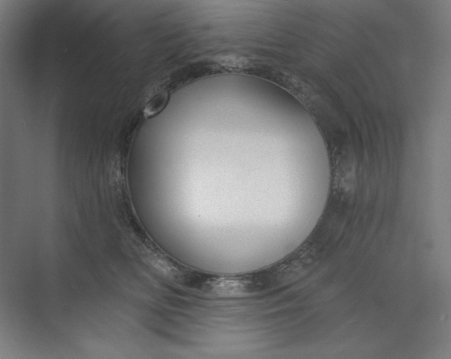 X0000073990518200609061001