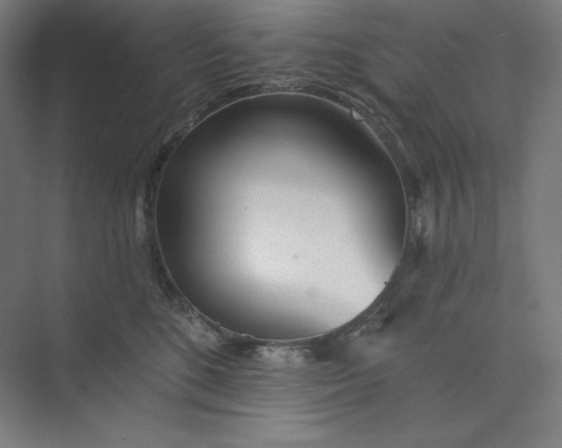 X0000073990520200609061001