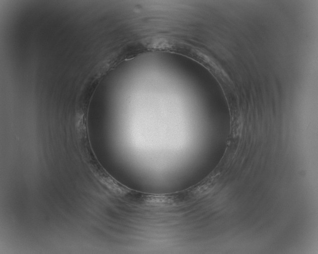 X0000073990521200609061001