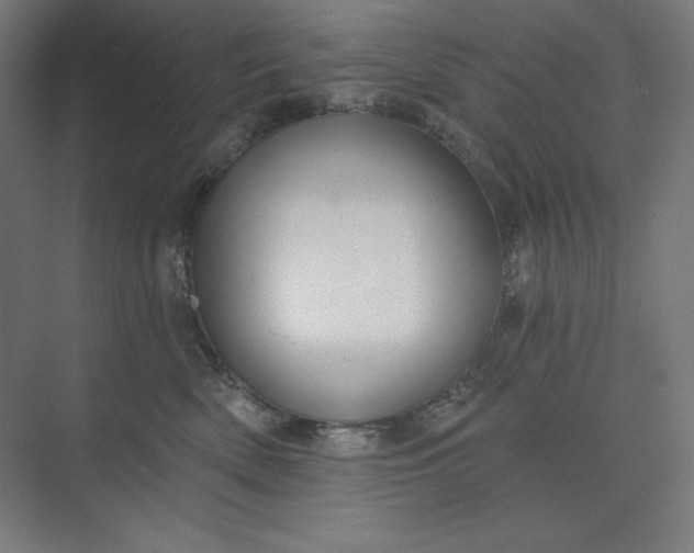 X0000073990522200609061001