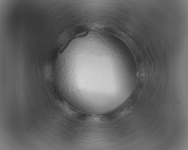 X0000073990523200609061001