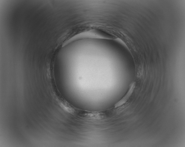 X0000073990524200609061001