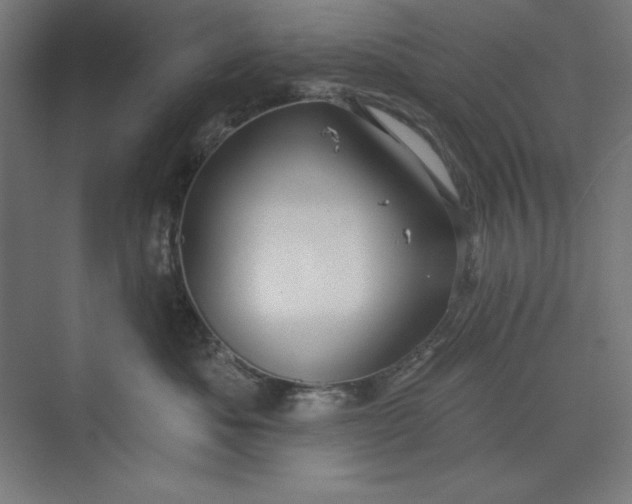 X0000073990525200609061001