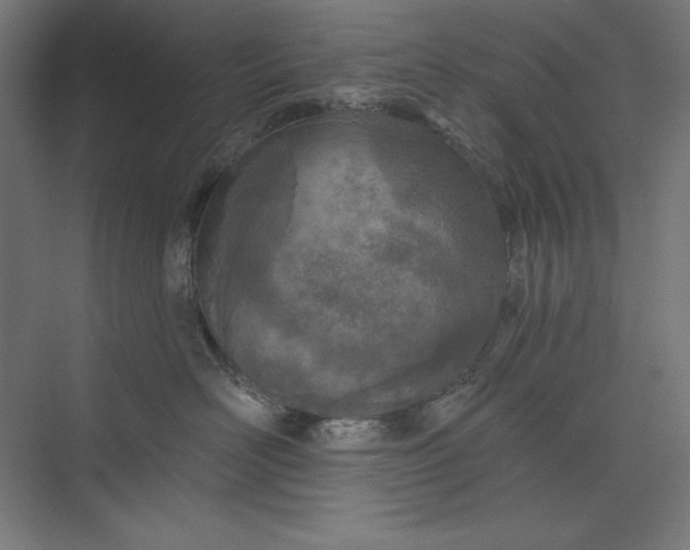 X0000073990526200609061001