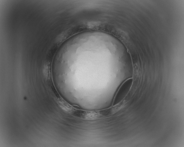 X0000073990527200609061001