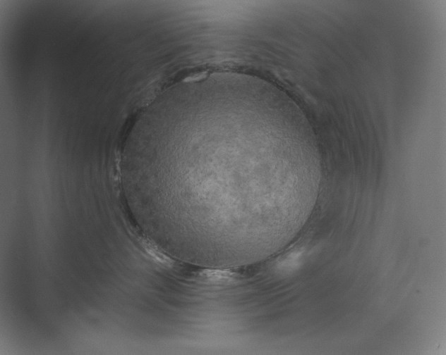 X0000073990528200609061001