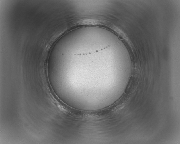 X0000073990529200609061000