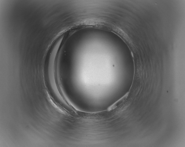 X0000073990530200609061000