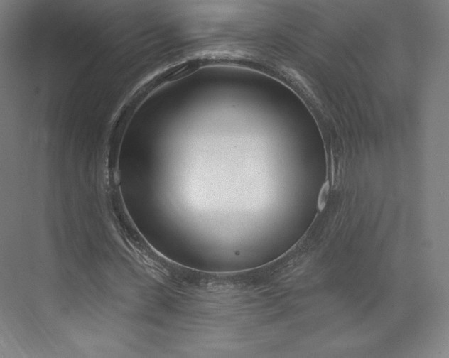 X0000073990531200609061000