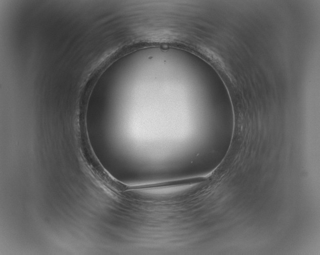 X0000073990535200609061000