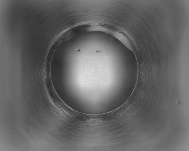 X0000073990536200609061000