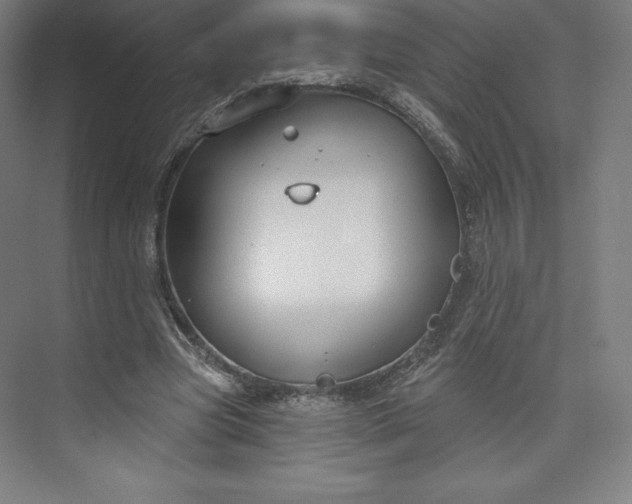 X0000073990537200609061000