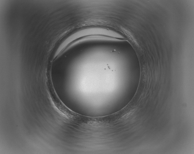 X0000073990538200609061000