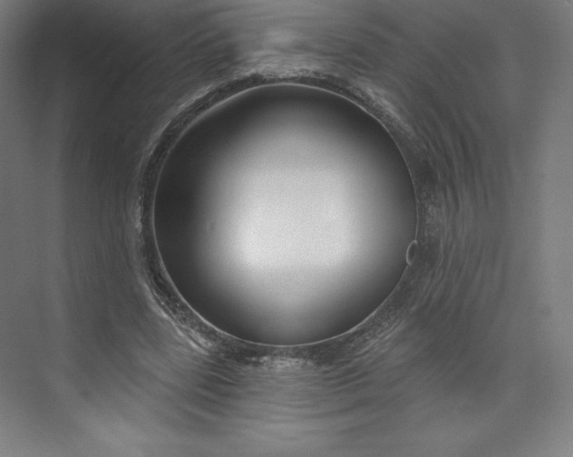 X0000073990539200609061000