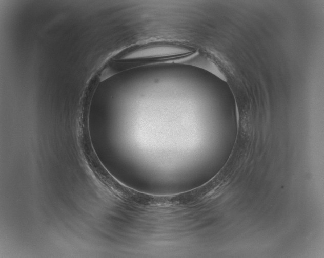 X0000073990540200609061000