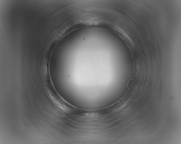 X0000073990541200609061000