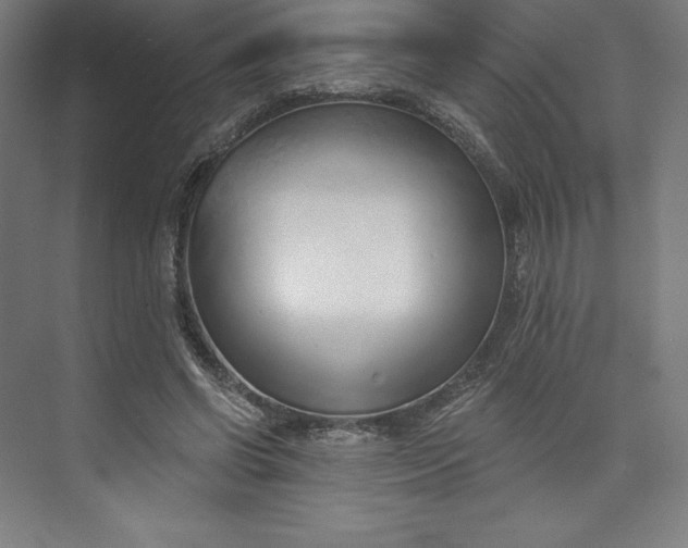 X0000073990542200609061000