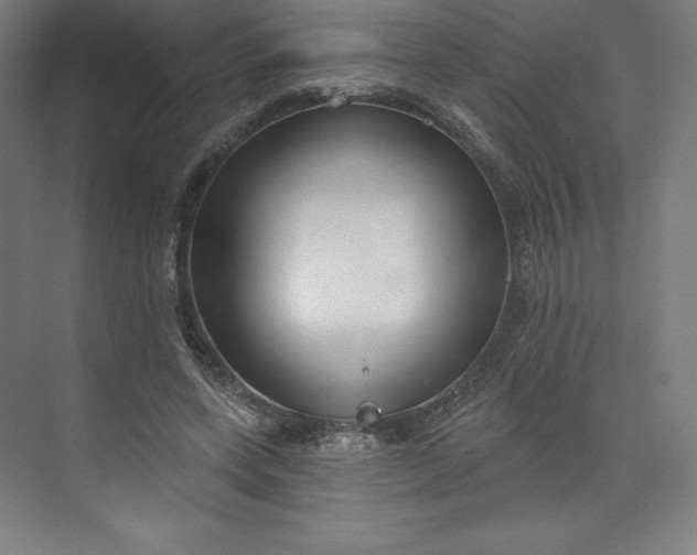 X0000073990543200609061000