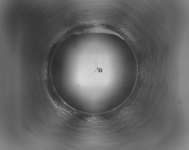 X0000073990544200609061000