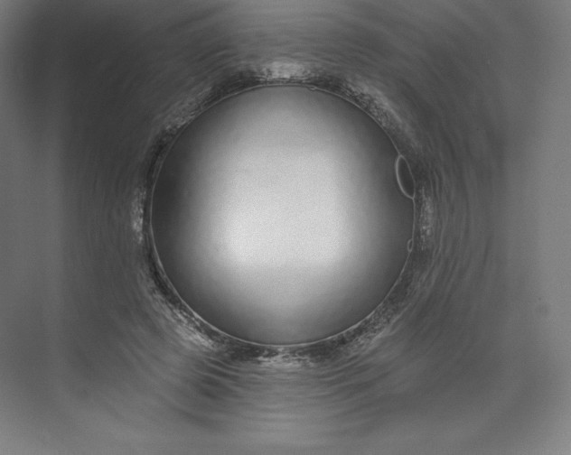 X0000073990545200609061000