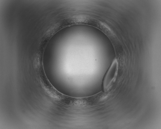 X0000073990546200609061000